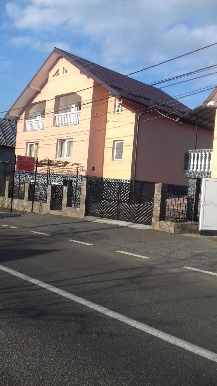 Pensiunea Anca Rona de Jos Exterior photo